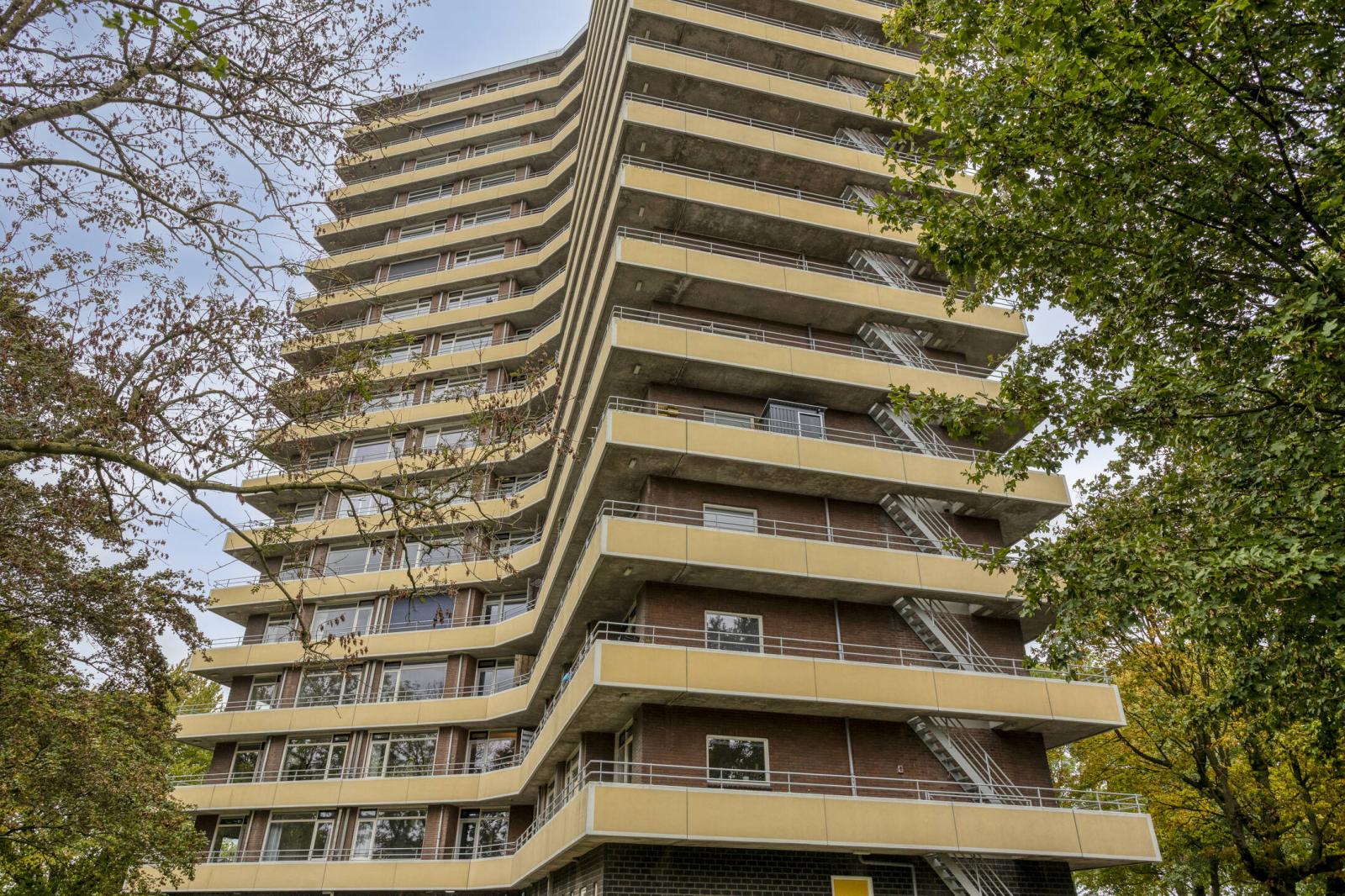 Albardaweg 59