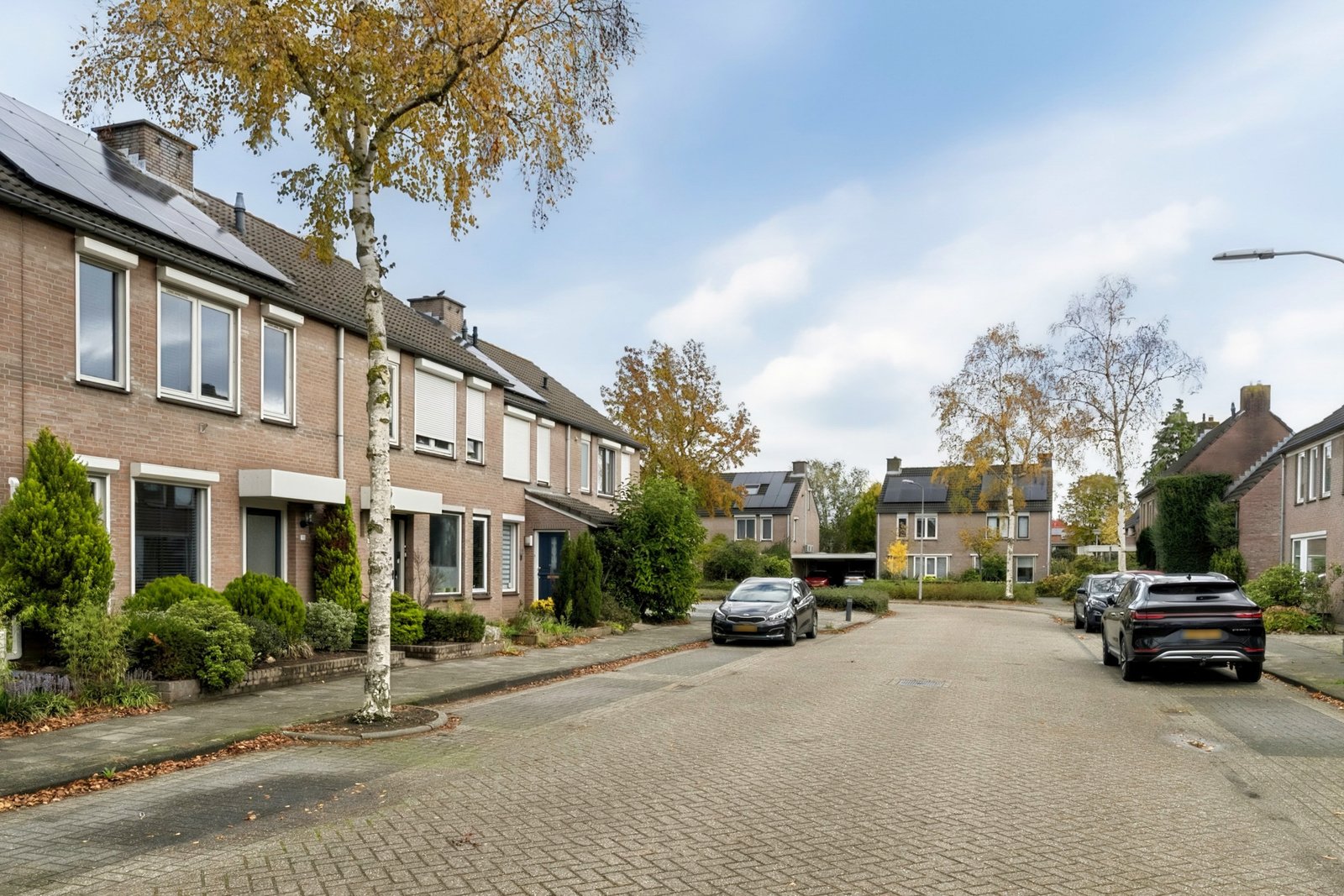 Hoefblad 70